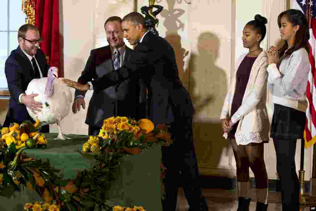 美国总统奥巴马赦免火鸡,他的两个女儿在场(2014年11月26日)