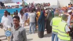 ብሓጺሩ -- ዓመተ 2024  ብሓጺሩ -- ዓመተ 2024