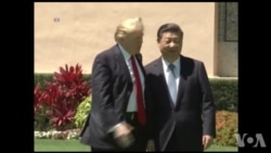 习近平还有实用主义灵活性吗? 习近平还有实用主义灵活性吗?