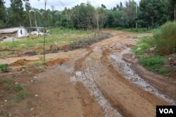 离公墓不到一百米远的农舍(美国之音林森拍摄)