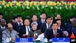 2006年在北京举行的中国非洲合作论坛峰会上,胡锦涛讲话