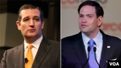 得克萨斯州联邦参议员、总统大选参选人克鲁兹(左)和佛罗里达州的联邦参议员、总统大选参选人鲁比奥。