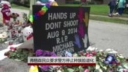 时事大家谈:弗格森骚乱:美国的“熔炉”理想与“马赛克”现实 时事大家谈:弗格森骚乱:美国的“熔炉”理想与“马赛克”现实