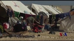 北约派军舰打击偷渡组织者 北约派军舰打击偷渡组织者