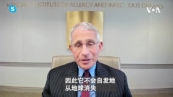 美国各州逐步开放 弗契医生提醒务必佩戴口罩 美国各州逐步开放 弗契医生提醒务必佩戴口罩