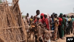 资料照 - 2024 年 6 月 17 日,16 岁的阿里·阿卜杜拉 (Ali Abdula) 牵着他的驴子,驴子载着他的两个弟弟妹妹,他们都患有营养不良,他们经过在南科尔多凡州阿加里的一个境内流离失所者营地排队登记领取援助的人们。