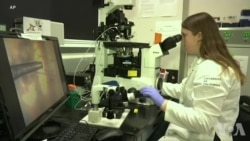 年终报道:2018科学界的进展 年终报道:2018科学界的进展