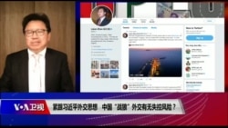 焦点对话:紧跟习近平外交思想,中国“战狼”外交有无失控风险? 焦点对话:紧跟习近平外交思想,中国“战狼”外交有无失控风险?