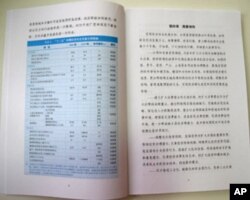 十二五规划纲要草案