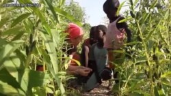 和平队60周年 发扬全球志愿服务精神 和平队60周年 发扬全球志愿服务精神