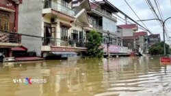 Bão Yagi quét vào Việt Nam gây thiệt hại nặng, hàng chục người chết