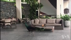 即将举行川金会的新加坡嘉佩乐酒店 即将举行川金会的新加坡嘉佩乐酒店