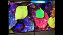 年终报道:高科技新技术 年终报道:高科技新技术