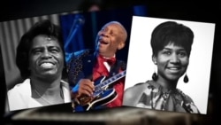 美国万花筒:纽约哈莱姆区;猫咪咖啡馆 美国万花筒:纽约哈莱姆区;猫咪咖啡馆