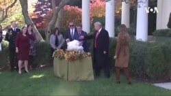 特朗普总统赦免取名为黄油和面包的两只火鸡 特朗普总统赦免取名为黄油和面包的两只火鸡