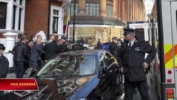 Anh từ chối dẫn độ sáng lập viên Wikileaks về Mỹ Anh từ chối dẫn độ sáng lập viên Wikileaks về Mỹ