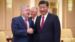 美国猪农回应中国关税 美国猪农回应中国关税