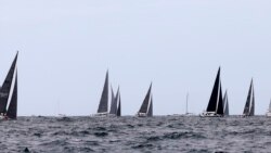 中国选手参加著名的悉尼霍巴特帆船赛 中国选手参加著名的悉尼霍巴特帆船赛