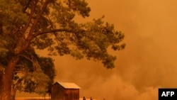 资料照片:加州山林大火。