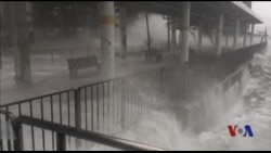 应对未来干旱 美科研人员培植耐旱作物