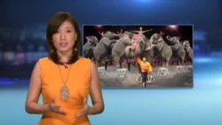 美国万花筒:美国和平权力移交历史回顾;百年马戏团关门大吉;机器人深造社交技能 美国万花筒:美国和平权力移交历史回顾;百年马戏团关门大吉;机器人深造社交技能