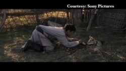 美国万花筒:中国提名《狼图腾》角逐奥斯卡最佳外语片奖 美国万花筒:中国提名《狼图腾》角逐奥斯卡最佳外语片奖