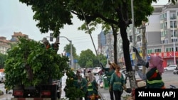 台湾魔羯在海南海口过境前,工人预先砍去街道树木的枝干以防止台风造成更大损害。(2024年9月5日)