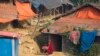 Project Launched to Repel Insects Damaging Rohingya Shelters in Cox's Bazar