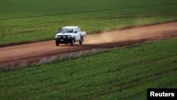 Môt nông gia đi thăm cánh đồng lúa mì của mình ở Condobolin cách Sydney khoảng 489 km