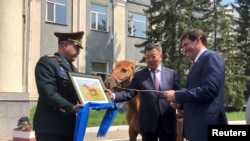 美国国防部长埃斯珀(右)2019年8月8日访问蒙古乌兰巴托时接受一匹蒙古马为礼物。