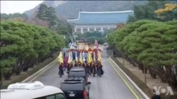 川普亚洲行速览:访韩首日 川普亚洲行速览:访韩首日