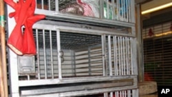 活鸡禁售,鸡笼空空。