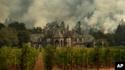 加州圣罗莎一个葡萄酒庄后方的山林大火。(2017年10月14日)