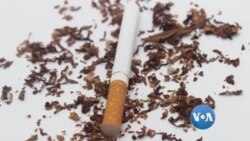 အဆုတ်ကင်ဆာ ကာကွယ်နိုင်တဲ့နည်း အဆုတ်ကင်ဆာ ကာကွယ်နိုင်တဲ့နည်း