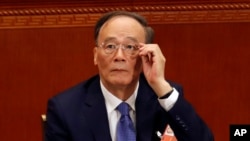 中国国家副主席王岐山 (资料照片)