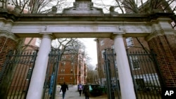 图为哈佛大学校园(2018年12月13日)