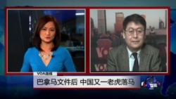 VOA连线: 巴拿马文件后 中国又一老虎落马 VOA连线: 巴拿马文件后 中国又一老虎落马