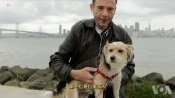 走进美国：又有艾滋病人完全康复了