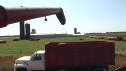 美国中西部农民密切关注农业部长人选 美国中西部农民密切关注农业部长人选