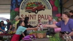 生产当地农产品的城市绿洲 生产当地农产品的城市绿洲