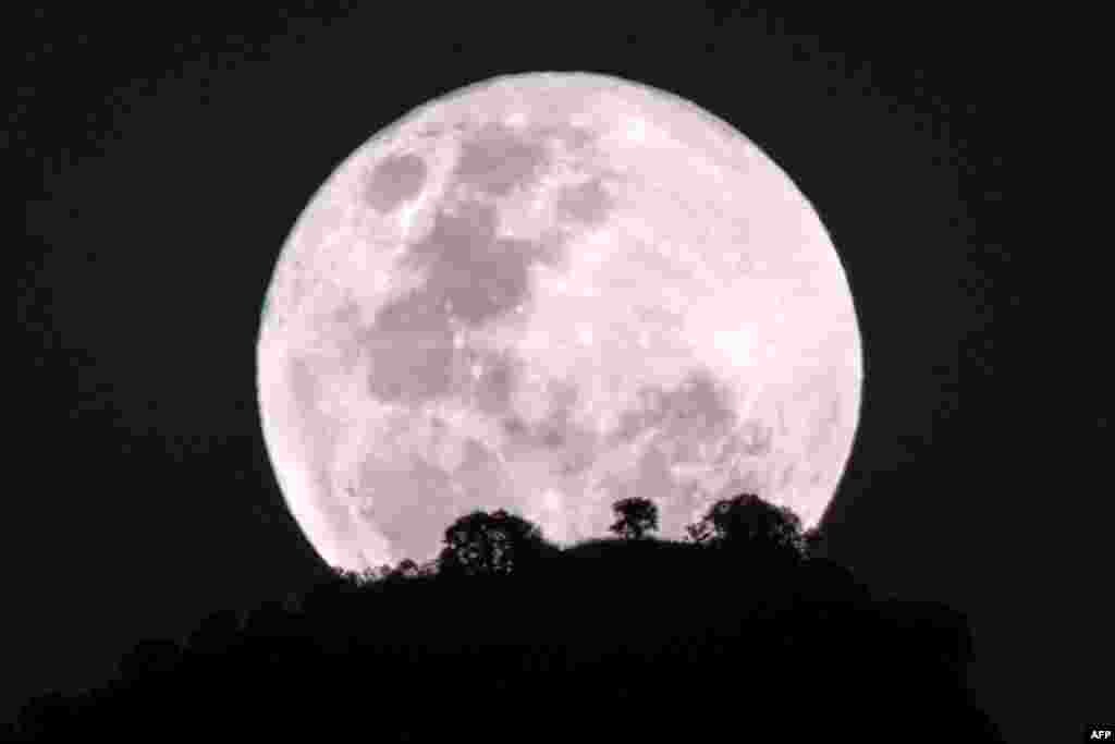 2018年1月31日,乌干达东北部纳卡皮里皮特镇的月亮升起,