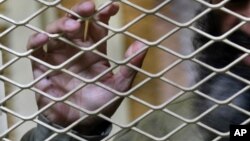 Kết luận của ủy ban Tổng thống Afghanistan đánh dấu lần đầu tiên Afghanistan thừa nhận tệ nạn tra tấn tại các trại giam.