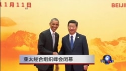 亚太经合组织峰会闭幕 亚太经合组织峰会闭幕