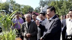 Bản tin Tân Hoa Xã đăng hình ông Tập trông khỏe mạnh đang xem cây, nắm tay trẻ em và nói chuyện với một số người lớn, ngày 15/9/2012.