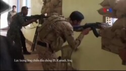 Bosnia bắt 12 người chiến đấu cho Nhà Nước Hồi giáo Bosnia bắt 12 người chiến đấu cho Nhà Nước Hồi giáo