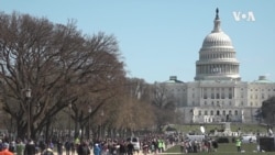 VOA英语视频: 美国年轻选民关心多元议题而非党派取向 VOA英语视频: 美国年轻选民关心多元议题而非党派取向