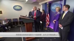 特朗普总统将新冠称为“中国病毒”,会失去华裔选票么? 特朗普总统将新冠称为“中国病毒”,会失去华裔选票么?