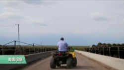 VOA连线:内布拉斯加饲养场积极参与牛肉出口中国贸易 VOA连线:内布拉斯加饲养场积极参与牛肉出口中国贸易