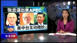 海峡论谈:彭斯APEC会张忠谋 不给习近平面子? 海峡论谈:彭斯APEC会张忠谋 不给习近平面子?
