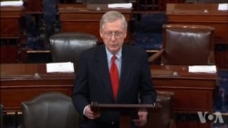 美国参议院开启移民改革辩论 美国参议院开启移民改革辩论